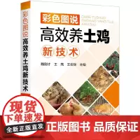 [正版书籍]彩色图说高效养土鸡新技术