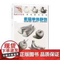 [正版书籍]名师范画与技法:素描单体静物