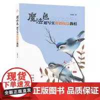 [正版书籍]魔法色:超写实彩铅技法教程