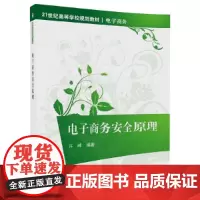 电子商务安全原理