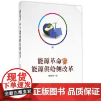 [正版书籍]能源革命与能源供给侧改革