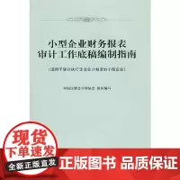 [正版书籍]小型企业财务报表审计工作底稿编制指南