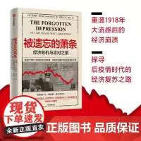[正版书籍]被遗忘的萧条:经济危机与应对之策