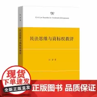 [正版书籍]民法思维与商标权救济