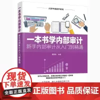 [正版书籍]从新手到高手系列--一本书学内部审计——新手内部审计从入门到精通