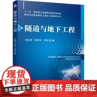 [正版书籍]隧道与地下工程
