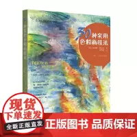 [正版书籍]30种实用色粉画技法
