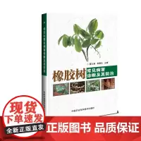 [正版书籍]橡胶树常见病害诊断及其防治