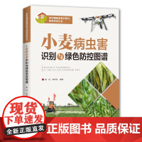 [正版书籍]小麦病虫害识别与绿色防控图谱