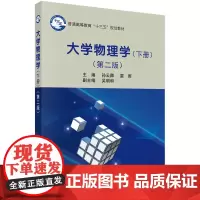 大学物理学(下册)(第二版)
