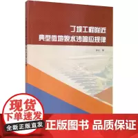 丁坝工程附近典型微地貌水沙响应规律 张立 著 科学家专业科技 正版图书籍 中国水利水电出版社