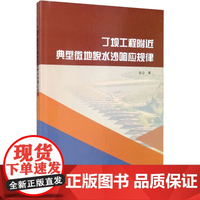 丁坝工程附近典型微地貌水沙响应规律 张立 著 科学家专业科技 正版图书籍 中国水利水电出版社