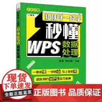 [正版书籍]和秋叶一起学 秒懂WPS数据处理
