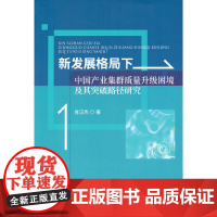 [正版书籍]新发展格局下中国产业集群质量升级困境及其突破路径研究