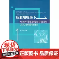 [正版书籍]新发展格局下中国产业集群质量升级困境及其突破路径研究