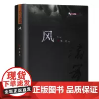 潘军小说典藏·风