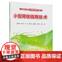 [正版书籍]小型网络组网技术