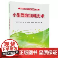 [正版书籍]小型网络组网技术