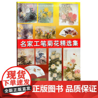 [正版书籍]名家工笔菊花精选集