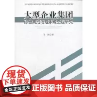 [正版书籍]大型企业集团综合集成治理系统工程研究