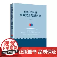[正版书籍]中东欧国家能源安全问题研究