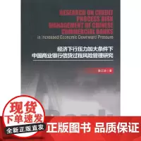 [正版书籍]经济下行压力加大条件下中国商业银行信贷过程风险管理研究