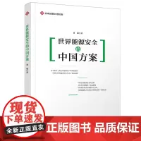 [正版书籍]全球治理的中国方案丛书-世界能源安全的中国方案