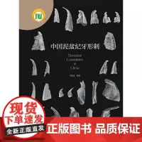 [正版书籍]中国泥盆纪牙形刺