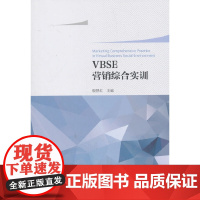 [正版书籍]VBSE营销综合训练教程