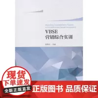 [正版书籍]VBSE营销综合训练教程