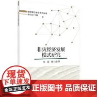 [正版书籍]非灾经济发展模式研究