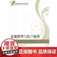 [正版书籍]农地整理与农户福利