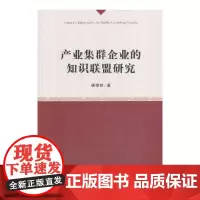 [正版书籍]产业集群企业的知识联盟研究