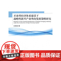 [正版书籍]开放型经济体系建设下战略性新兴产业外向发展策略研究