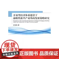 [正版书籍]开放型经济体系建设下战略性新兴产业外向发展策略研究