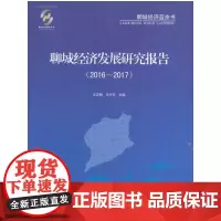 聊城经济发展研究报告(2016-2017)(聊城发展研究院 聊城经济蓝皮书)