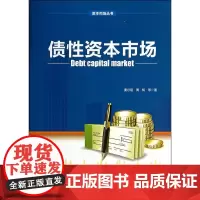 [正版书籍]债性资本市场