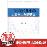 [正版书籍]工业现代化中的企业自主创新研究