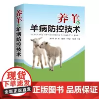 [正版书籍]养羊与羊病防控技术