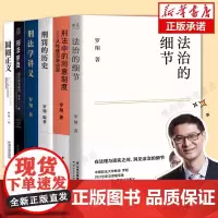 罗翔套装6册 法治的细节 +圆圈正义+刑法学讲义+刑法罗盘+刑罚的历史+刑法中的同意制度 罗翔著 历史刑法法学 法律知识