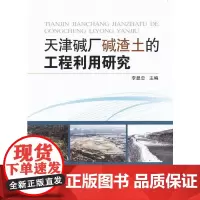 [正版书籍]天津碱厂碱渣土的工程利用研究