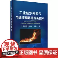 工业硅炉外吹气与造渣精炼提纯新技术 伍继君,马文会,魏奎先 著 冶金工业专业科技 正版图书籍 冶金工业出版社