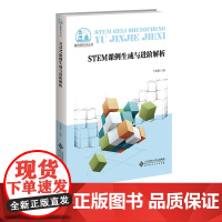 STEM课例生成与进阶解析 于晓雅 主编 教育新视点丛书 正版书籍 立足课堂教学 课例设计与实施 北京师范大学出版社