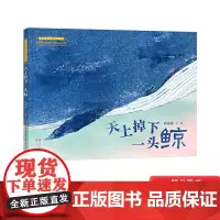 天上掉下一头鲸硬壳精装绘本画面书适合3-4-5岁以上幼儿启蒙认知睡前读物蕴含着关于生命与爱的思考正版童书青铜葵花图画书奖