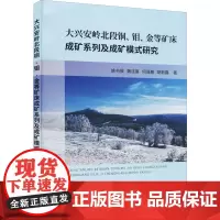 大兴安岭北段铜、钼、金等矿床成矿系列及成矿模式研究 姚书振 等 著 地球物理学专业科技 正版图书籍