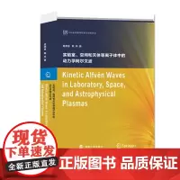 实验室、空间和天体等离子体中的动力学阿尔文波 南京大学出版社