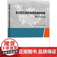 全过程工程咨询项目集群管理理论与实践 柴恩海 等 著 各部门经济专业科技 正版图书籍 中国建筑工业出版社