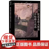 陀思妥耶夫斯基中短篇小说选陀思妥耶夫斯基著文颖等译诞生二百周年代表作穷人白夜地下室手记孪生兄弟温顺的女性一个荒唐人的梦