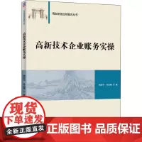 高新技术企业账务实操 杨彩华,吴凤霞 著 会计大中专 正版图书籍 清华大学出版社
