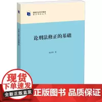 论刑法修正的基础 高永明 著 法学理论社科 正版图书籍 知识产权出版社